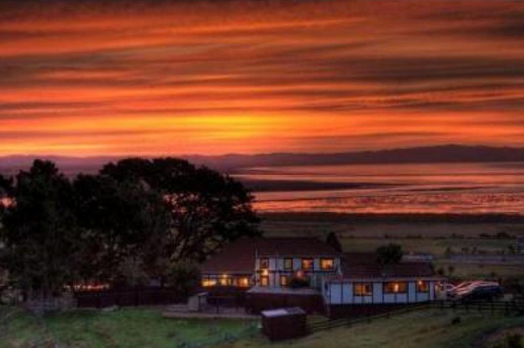 Chartre Manor B&B Thames Dış mekan fotoğraf